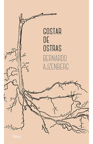 Gostar de ostras, de Ajzenberg, Bernardo. Editorial Editora Rocco Ltda, capa mole em português, 2017