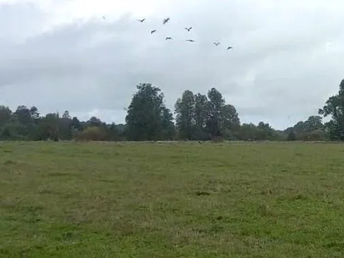 Campo 4,7 Ha En Venta, Purranque - Futillar