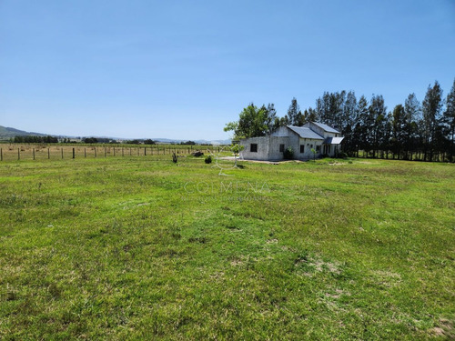 Imagen 10 de 30 de Chacra 5 Hs Con 2 Casas - Consulte !!! - Zona Rural Zona Rural