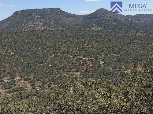Terreno En Venta En Desarrollo Ecoturisco La Muralla Durango