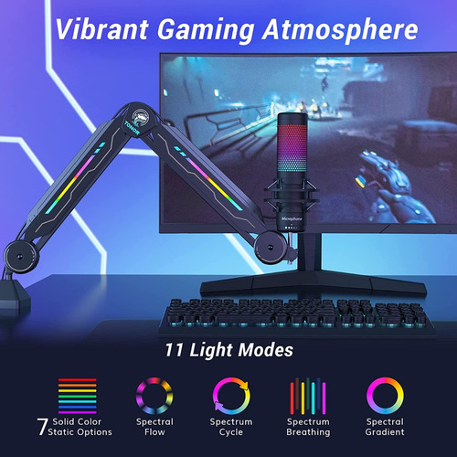 Brazo Soporte Para Micrófono Ajustable Moderno Rgb Reforzado