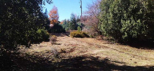 Se Venden Lotes Desde 5000mts2,yungay (68483)