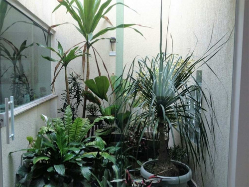 Imagem 5 de 13 de Sobrado Na Vila Matilde Com 5 Dorms Sendo 1 Suíte, 5 Vagas, 220m² - So0185