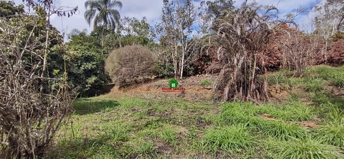 Imagem 7 de 8 de Terreno Medindo 5.401 M² Em Miracatu-sp Ref.: 0686