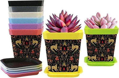 Gardening Containers Cats Firebirds And Birds Nursery Pots .