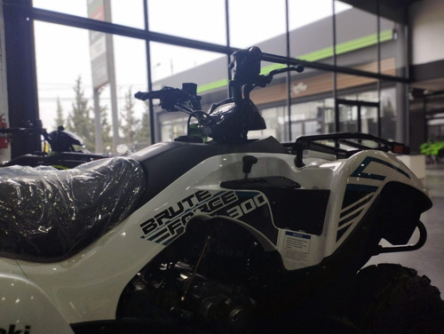 Imagen 13 de 15 de Kawasaki Brute Force 300