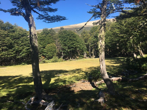 Sitio En Venta En Cisnes