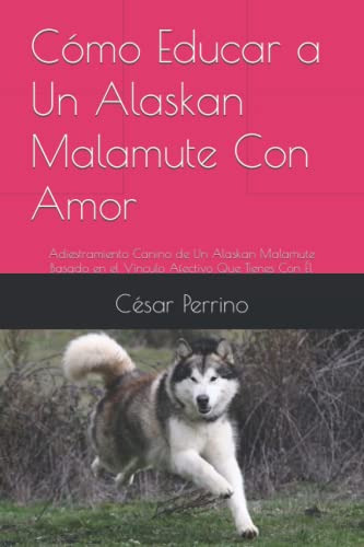Como Educar A Un Alaskan Malamute Con Amor: Adiestramiento C