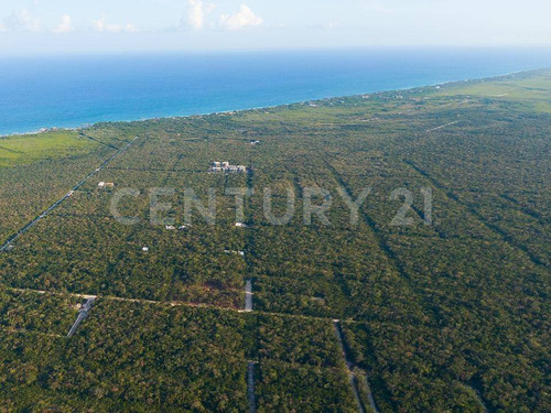 Terreno En Venta, Región 8, Tulum, Quintana Roo.