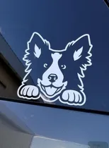 Comprar Vinilo Adhesivo Border Collie B2 Perro