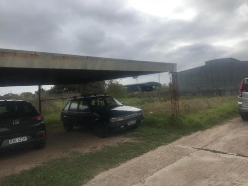 Venta Local Industrial Y Depósito En Zona Belvedere