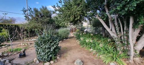 Imagen 20 de 23 de Tejada. Casa Olmue. Valor Incluye Mantencion De Jardines.