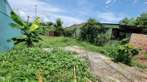 Imagen 4 de 4 de Vendo Terreno Plano, Frente A Calle Publica Con Disponibilidad De Servicios Y Uso De Suelo Residencial Ubicado En Orotina Centro