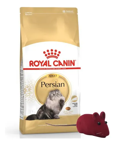 Alimento Royal Canin Gato Persian 1,5 Kg + Regalo