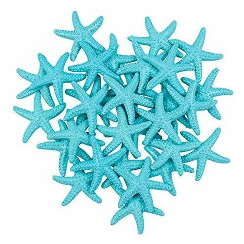 Framendino, 16 Pack Starfish Ornaments Resin Pencil Bvslw