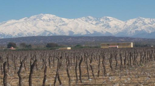 Bodega Y Finca En Venta