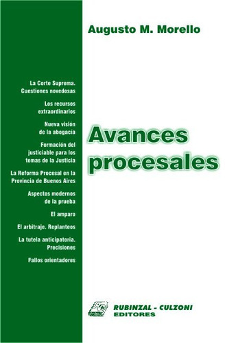 Avances Procesales, De Morello, Augusto Mario. Editorial Rubinzal En Español