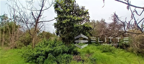 Imagen 24 de 28 de Sitio En Venta En Olmué