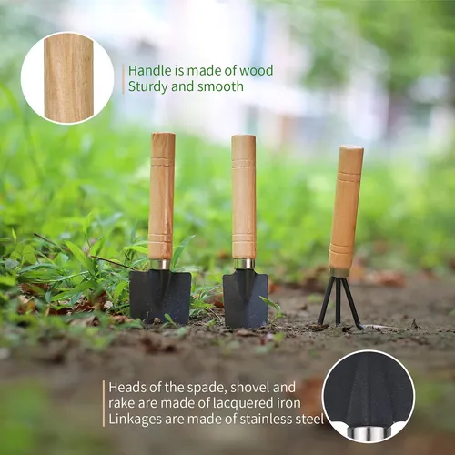 5 Herramientas Para Suculentas, Mini Herramientas De Jardn,