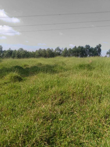 Imagem 14 de 14 de A25-terrenos Prox Ao Centro De Jacarei Vis Unica