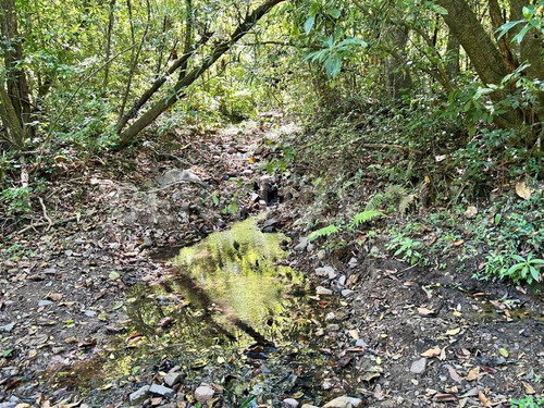 Terreno En Venta En San Sebastian Del Oeste
