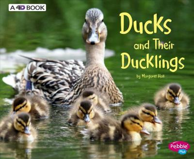 Libro Ducks And Their Ducklings - Margaret Hall