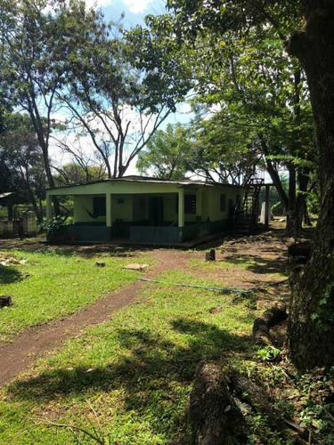 Imagen 8 de 22 de Finca En Tinaquillo Con 132 Hectáreas, Excelente Oportunidad