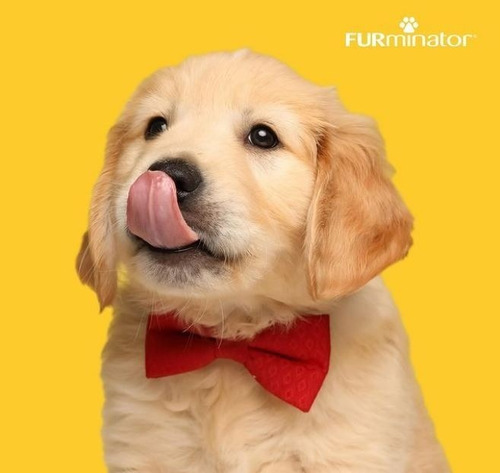 Imagen 3 de 6 de Cardina Y Peine Curvo Furminator Intercambiable Perros
