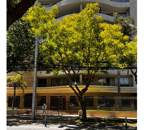 Arrdo Depto Libertad C/ 10 Norte Semiamoblado O Sin Muebles
