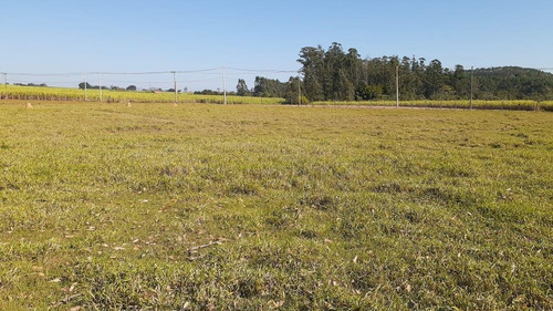 Chácara À Venda, 8000 M² Por R$ 400.000 - Rosário - Elias Fausto/sp - Ch0136