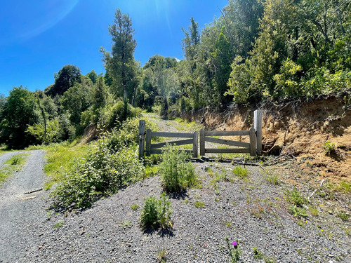 Parcela En Caburgua Con Bosque Nativo
