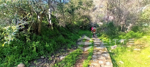 Agrícola En Venta En Olmué