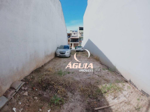 Imagem 5 de 8 de Terreno À Venda, 125 M² Por R$ 255.000,00 - Jardim Milena - Santo André/sp - Te0228