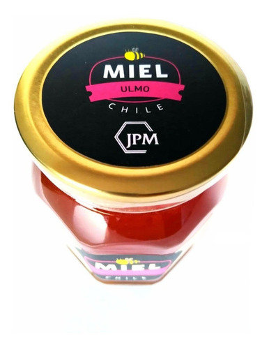Miel De Ulmo 100% Pura 1kg