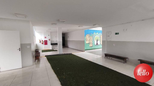 Imagem 20 de 30 de Comercial/industrial - Ref: 239316