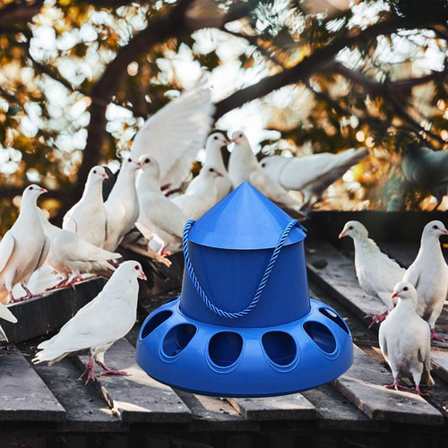Alimentador De Pollos, Cubo De Alimentación Automático