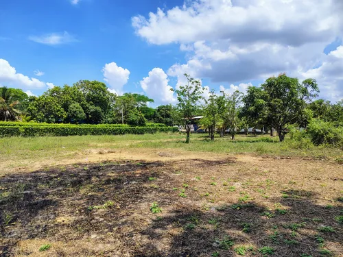 Lote De 5000m2 Santo Tomas (cm&d142).