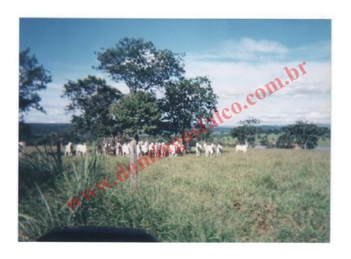 Imagem 11 de 24 de Venda - Fazenda - Zona Rural - Pirapora - Mg - D0342