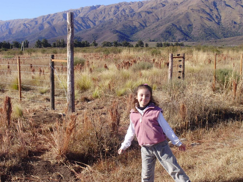 Terreno-merlo-cortaderas-san Luis
