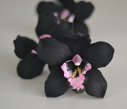 250 Semillas De Orquídea Negra, Nueva Variedad + Abono