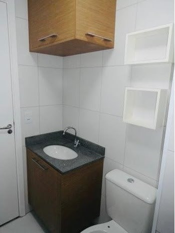Imagem 7 de 15 de Apartamento Para Aluguel, 1 Dormitório(s), 32.0m² - 1479