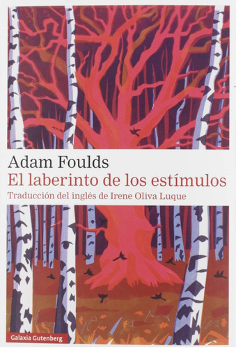 El Laberinto De Los Estimulos, De Adam  Foulds. Editorial Galaxia Gutenberg, Tapa Blanda, Edición 1 En Español