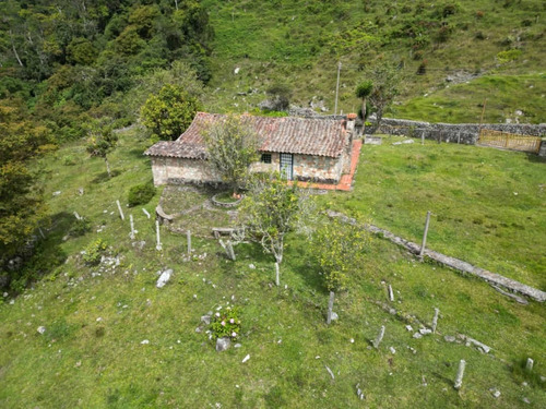 Se Vende Finca En Michelena