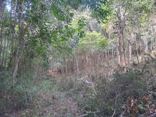 Imagem 6 de 30 de Excelente Terreno Á Venda De 16.500m2 Em Condomínio Rural Clube Juca Vieira C/ Área De 16.500 M², C/ Córrego De Água Cristalina Nos Fundos! - Oci0101 - 69485109
