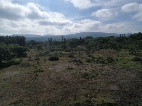 Imagen 13 de 21 de Venta De Terreno En Huichapan Escriturado
