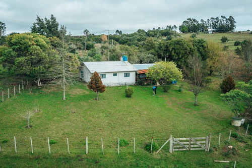 Imagen 7 de 15 de Oportunidad De Compra: Hermosa Chacra Con Casa, Ruta 39