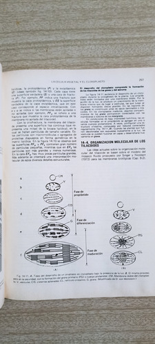 Biologia Celular Y Molecular De Robertis & Robertis (Usado)
