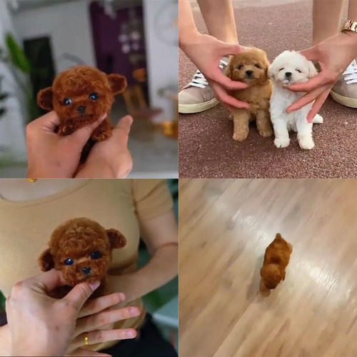 Robot Puppy, My Realistic Robot Puppy, Pelúcia, 1 Unidad