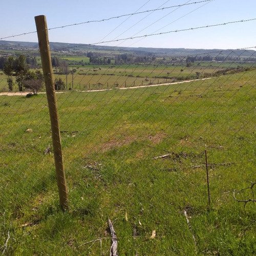 Parcela Camino Marchigue/comuna Rapel La Estrella