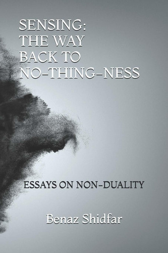 Libro Sensing - The Way Back To No-thing-ness: Essays On N